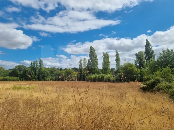 Terreno para Venda em Torres Novas (São Pedro), Lapas e Ribeira Branca Foto 1