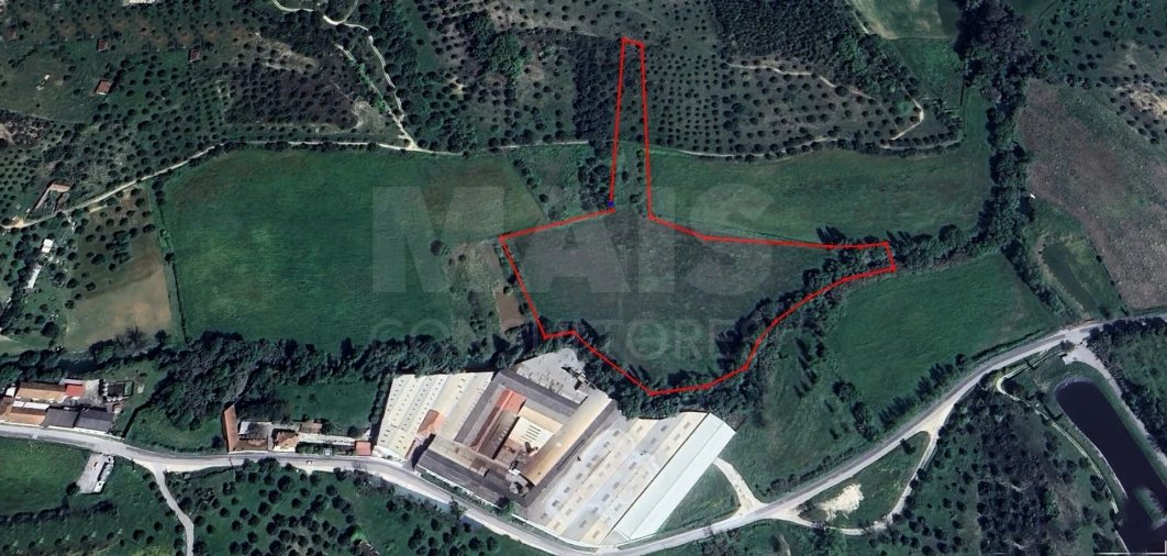 Terreno para Venda em Torres Novas (São Pedro), Lapas e Ribeira Branca Foto 3