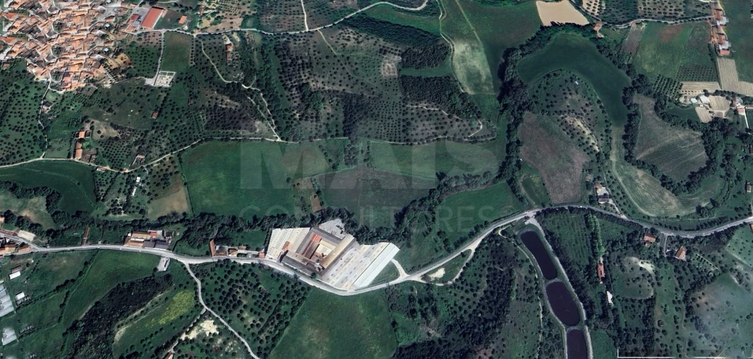 Terreno para Venda em Torres Novas (São Pedro), Lapas e Ribeira Branca Foto 4