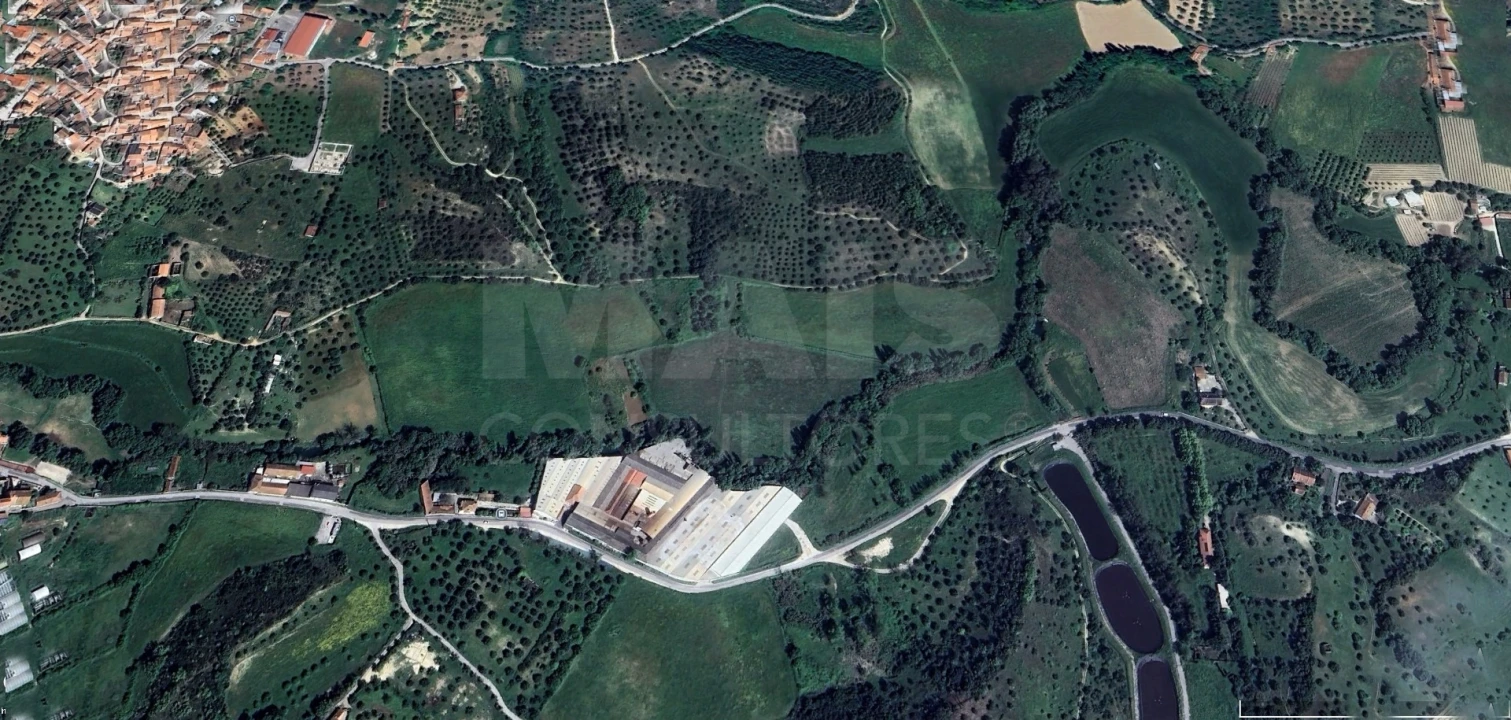 Terreno para Venda em Torres Novas (São Pedro), Lapas e Ribeira Branca Foto 4