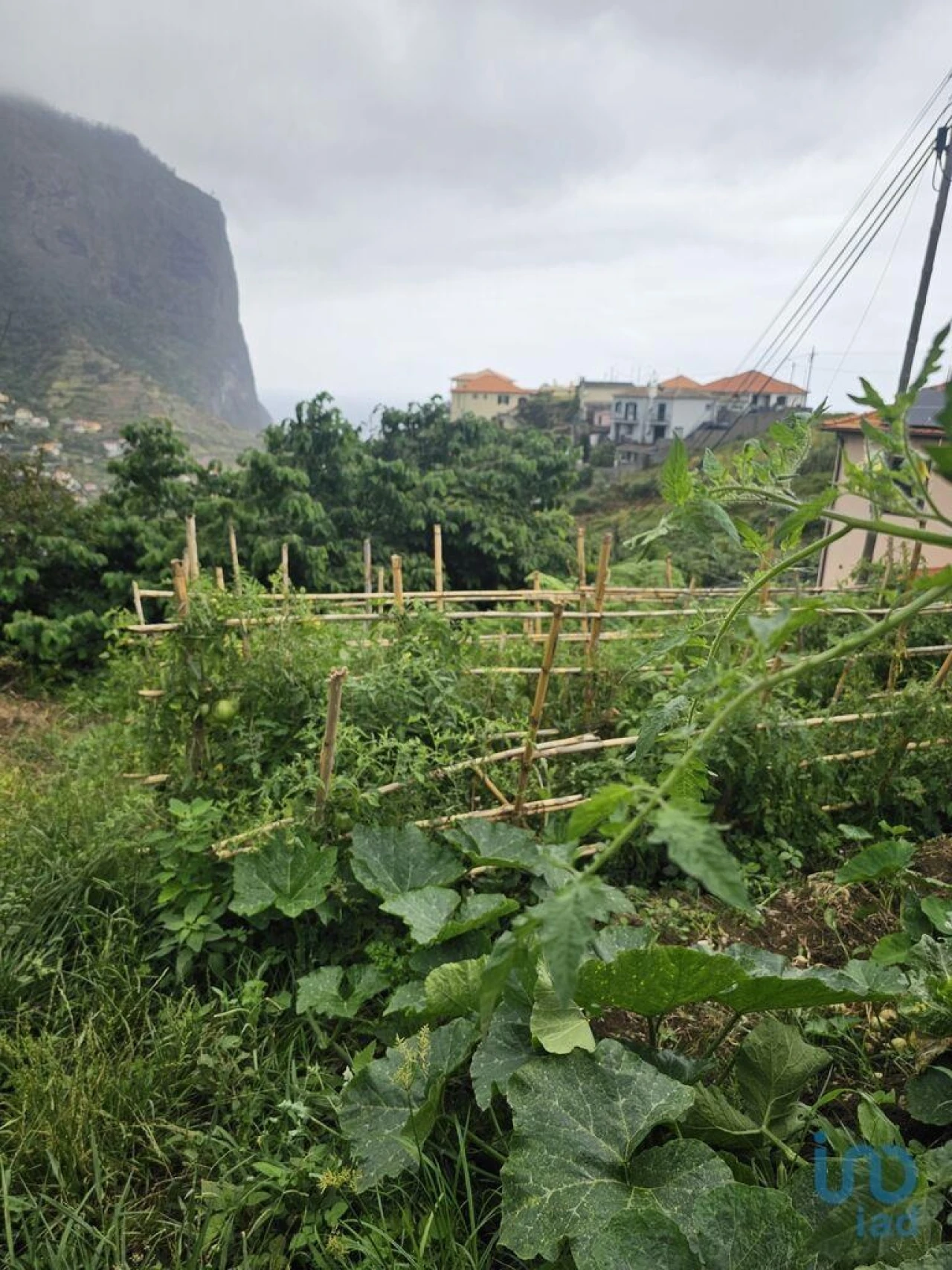 Terreno para Venda em Porto da Cruz Foto 9