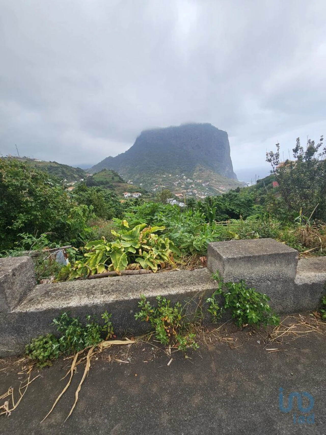 Terreno para Venda em Porto da Cruz Foto 5