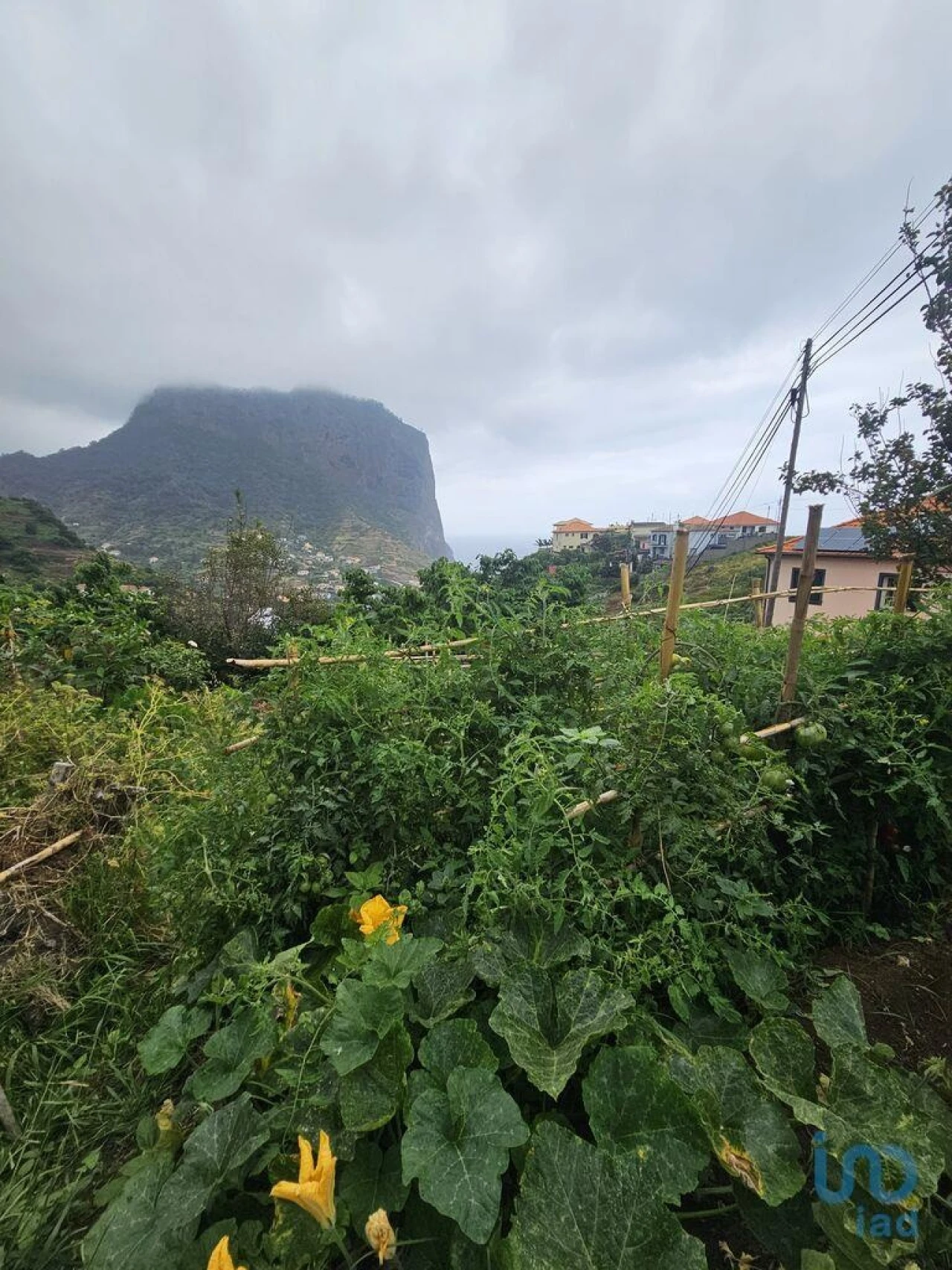 Terreno para Venda em Porto da Cruz Foto 6