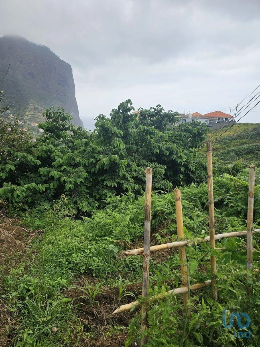 Terreno para Venda em Porto da Cruz Foto 3