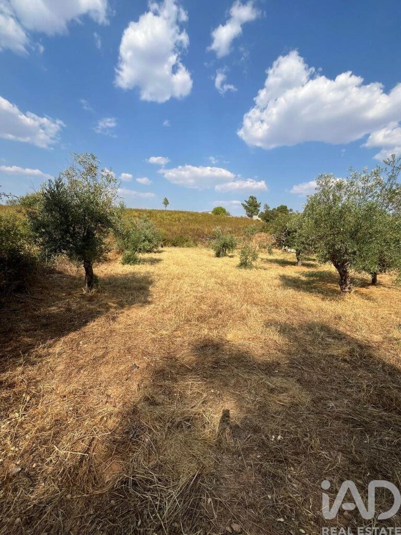 Moradia T2 para Venda em Salgueiro do Campo Foto 19