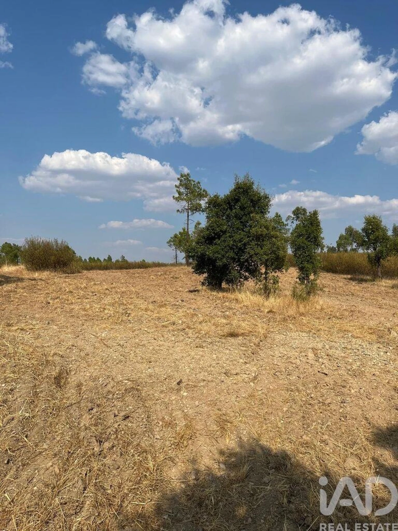 Moradia T2 para Venda em Salgueiro do Campo Foto 23