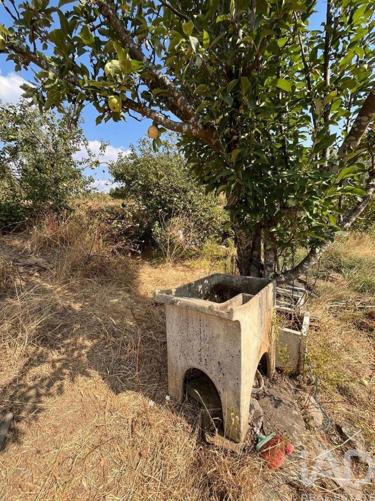 Moradia T2 para Venda em Salgueiro do Campo Foto 26