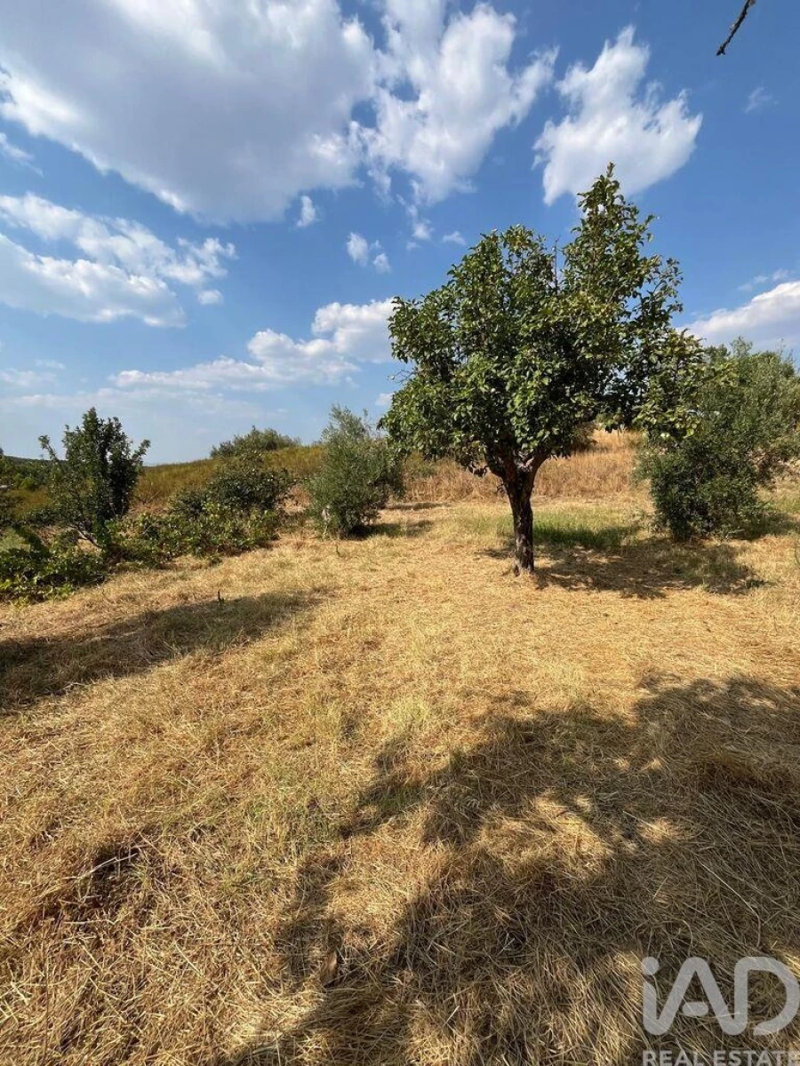 Moradia T2 para Venda em Salgueiro do Campo Foto 29