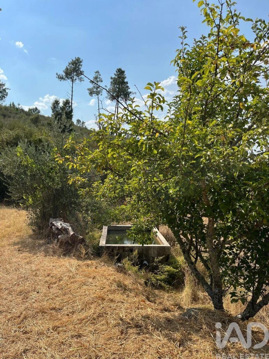 Moradia T2 para Venda em Salgueiro do Campo Foto 22