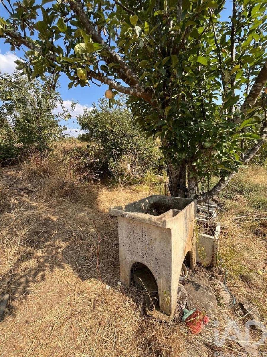 Moradia T2 para Venda em Salgueiro do Campo Foto 26
