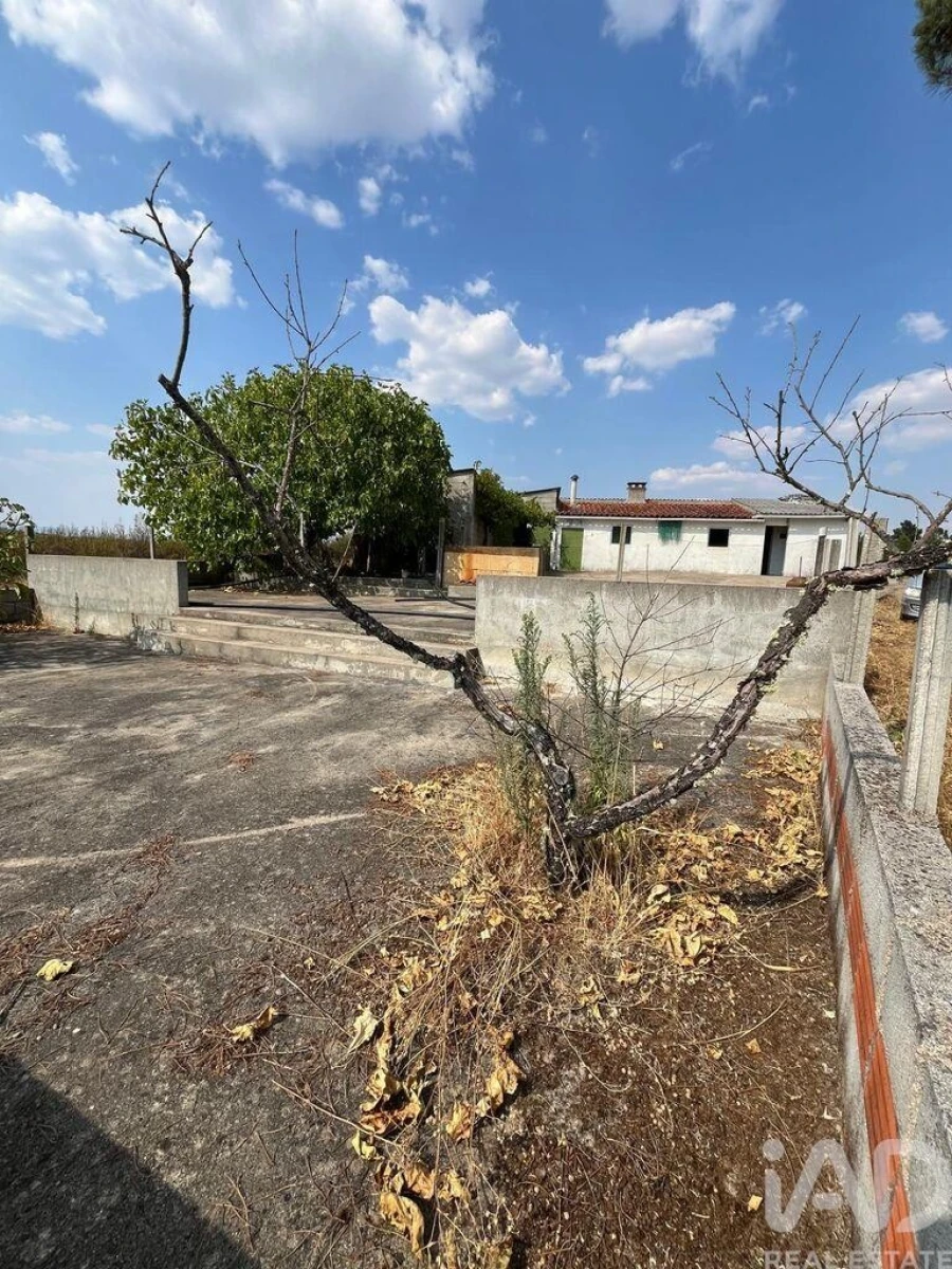 Moradia T2 para Venda em Salgueiro do Campo Foto 20