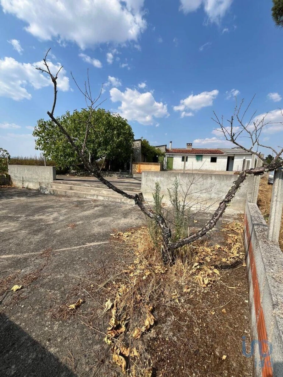 Moradia T2 para Venda em Salgueiro do Campo Foto 3