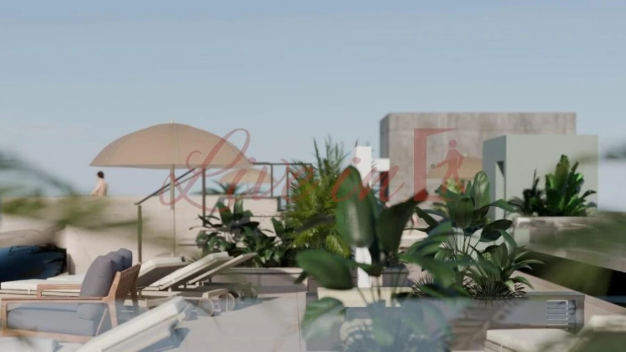 Apartamento T1 para Venda em São Martinho Foto 14