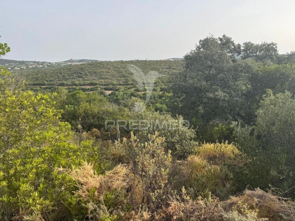 Terreno para Venda em São Brás de Alportel Foto 4