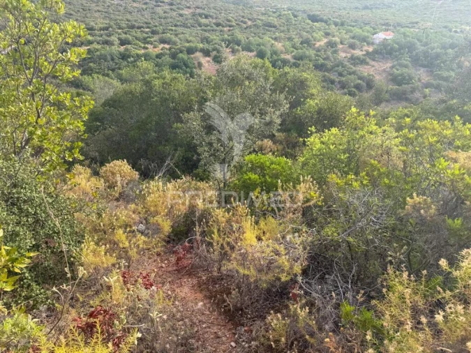 Terreno para Venda em São Brás de Alportel Foto 3
