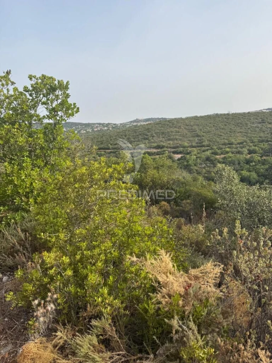 Terreno para Venda em São Brás de Alportel Foto 1