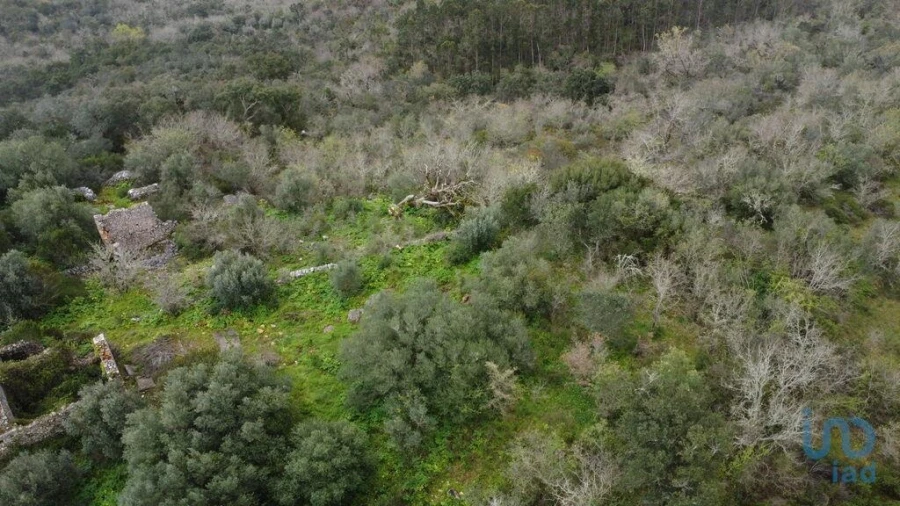 Moradia para Venda em Chãos Foto 6