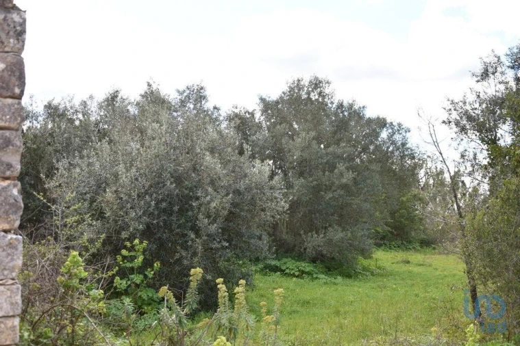 Moradia para Venda em Chãos Foto 12