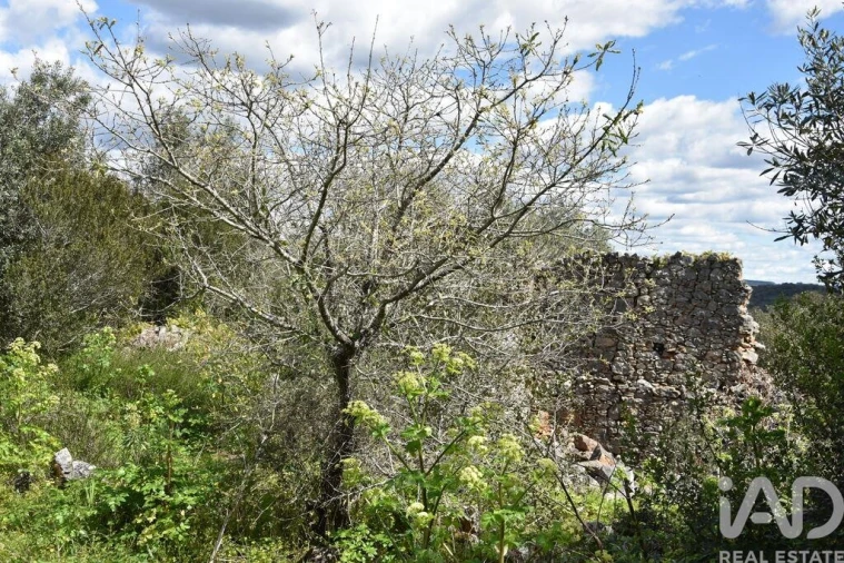 Moradia para Venda em Chãos Foto 20