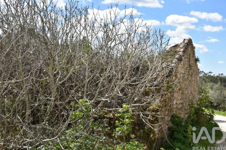 Moradia para Venda em Chãos Foto 26