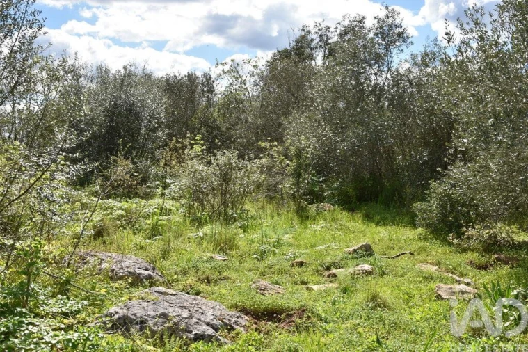 Moradia para Venda em Chãos Foto 18