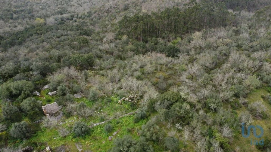 Moradia para Venda em Chãos Foto 5