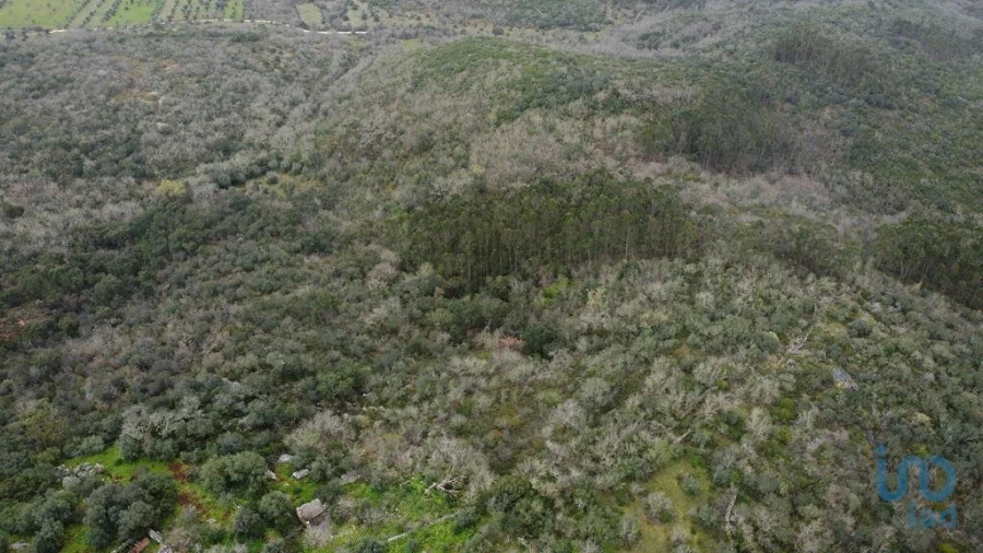 Moradia para Venda em Chãos Foto 4