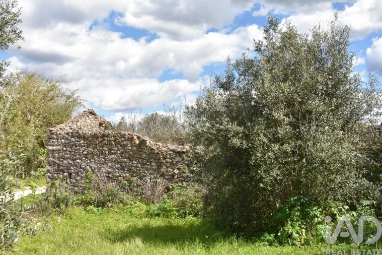 Moradia para Venda em Chãos Foto 16