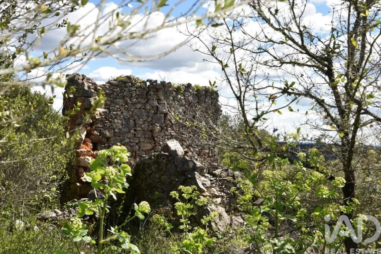 Moradia para Venda em Chãos Foto 25
