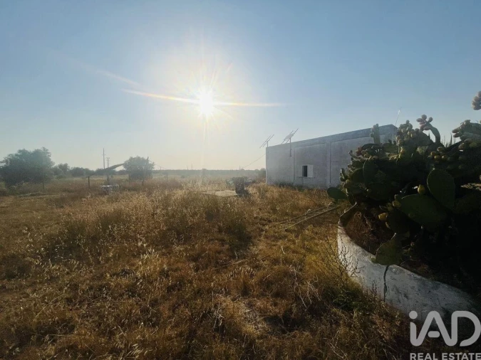 Moradia T4 para Venda em Ferreira do Alentejo e Canhestros Foto 28