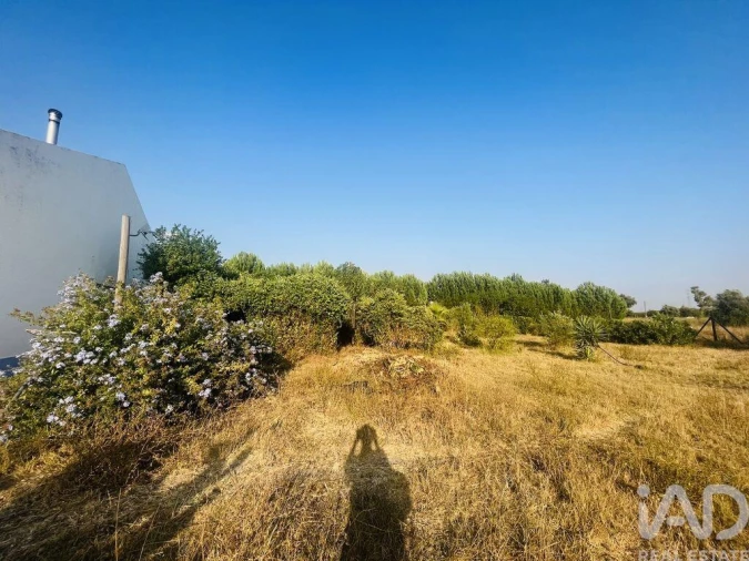 Moradia T4 para Venda em Ferreira do Alentejo e Canhestros Foto 29