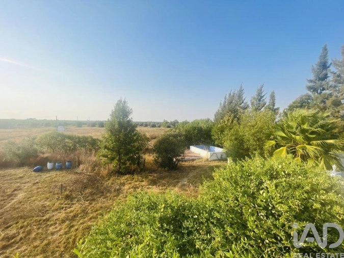 Moradia T4 para Venda em Ferreira do Alentejo e Canhestros Foto 26