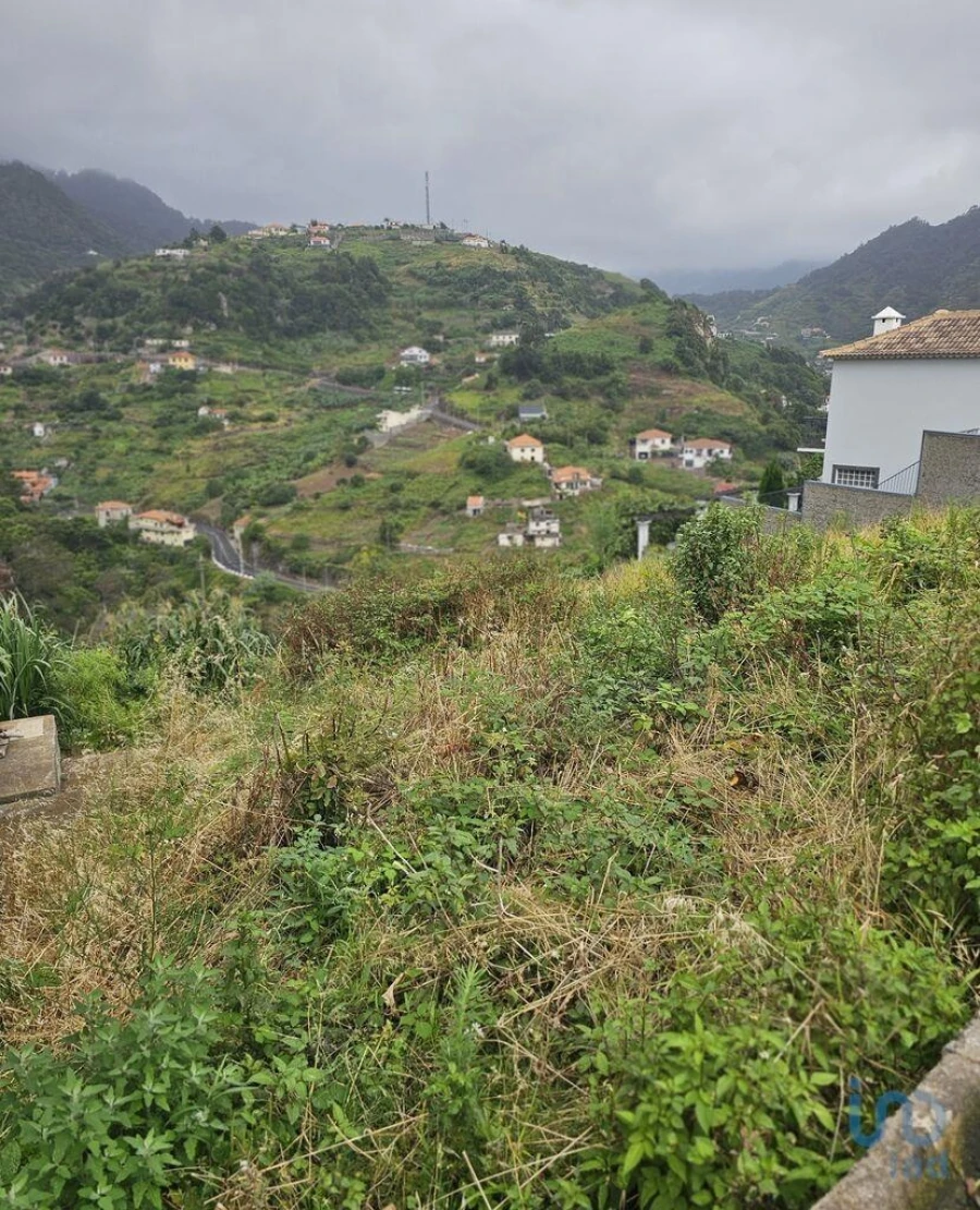 Terreno para Venda em Porto da Cruz Foto 4