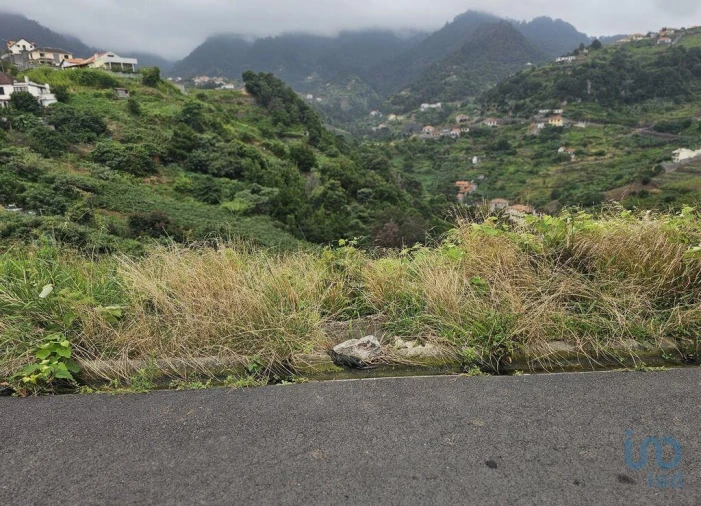 Terreno para Venda em Porto da Cruz Foto 2