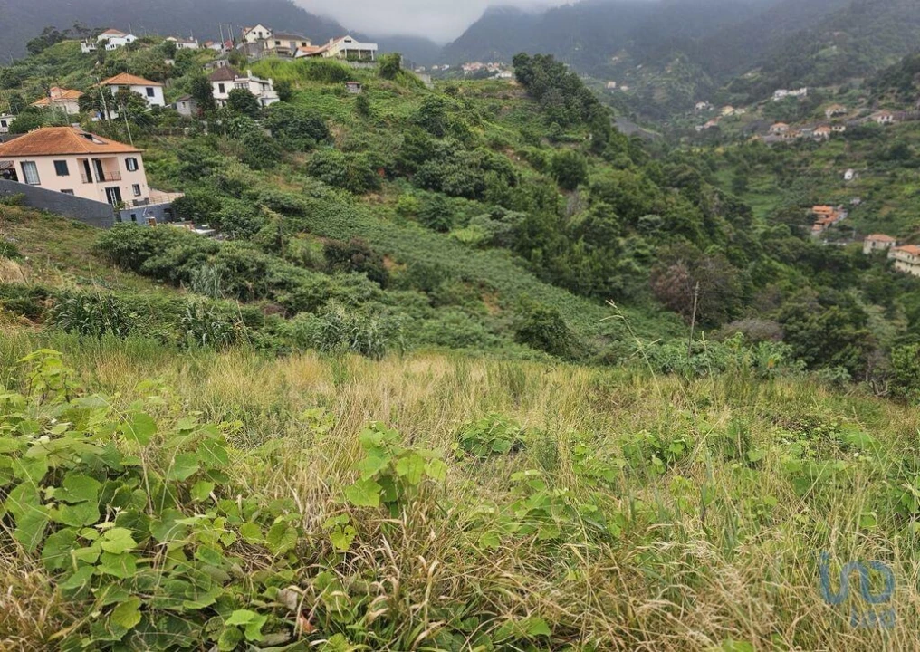 Terreno para Venda em Porto da Cruz Foto 6