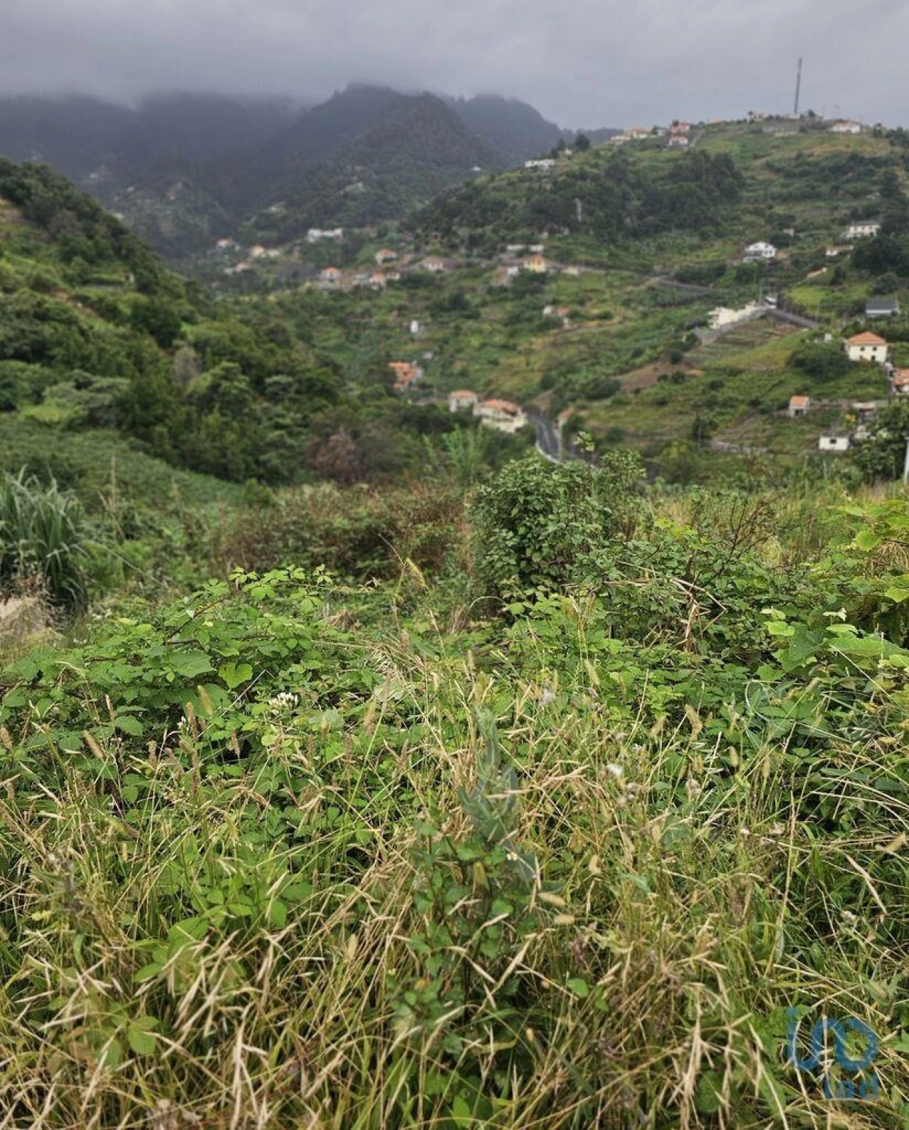 Terreno para Venda em Porto da Cruz Foto 3
