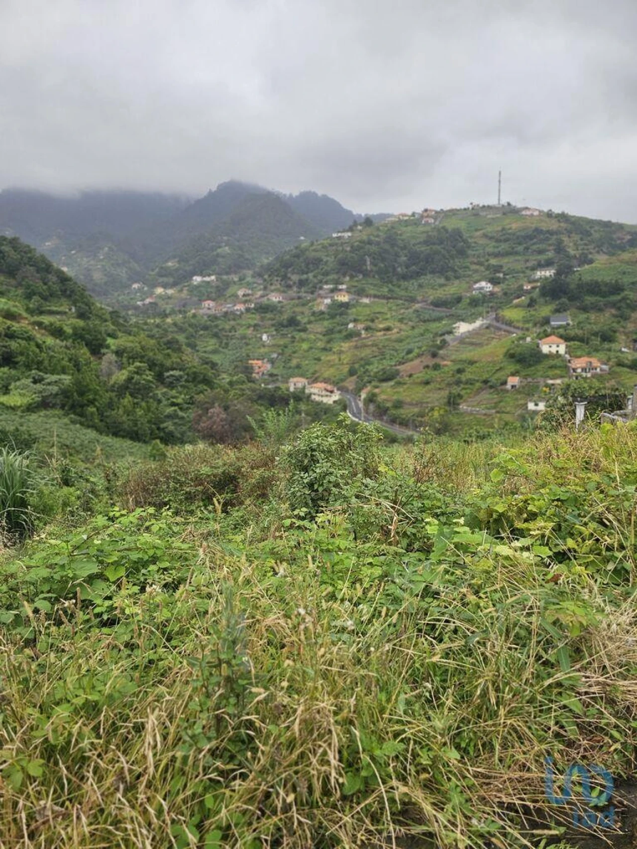 Terreno para Venda em Porto da Cruz Foto 7