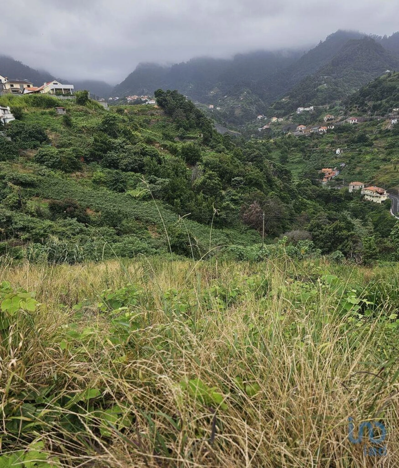 Terreno para Venda em Porto da Cruz Foto 5