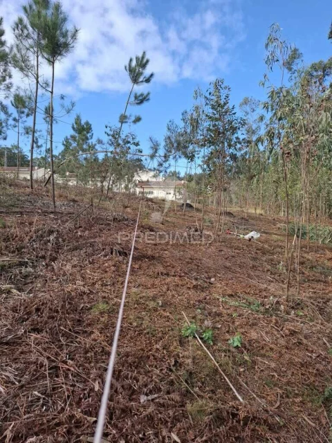 Terreno para Venda em Pedroso e Seixezelo