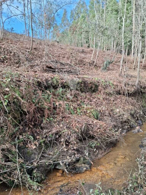 Terreno para Venda em Pedroso e Seixezelo