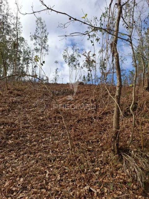 Terreno para Venda em Pedroso e Seixezelo