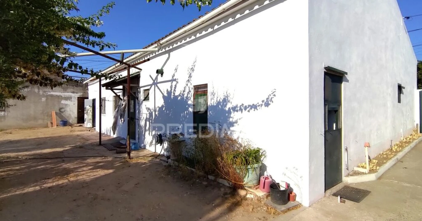 Moradia T3 para Venda em Carregueira Foto 5