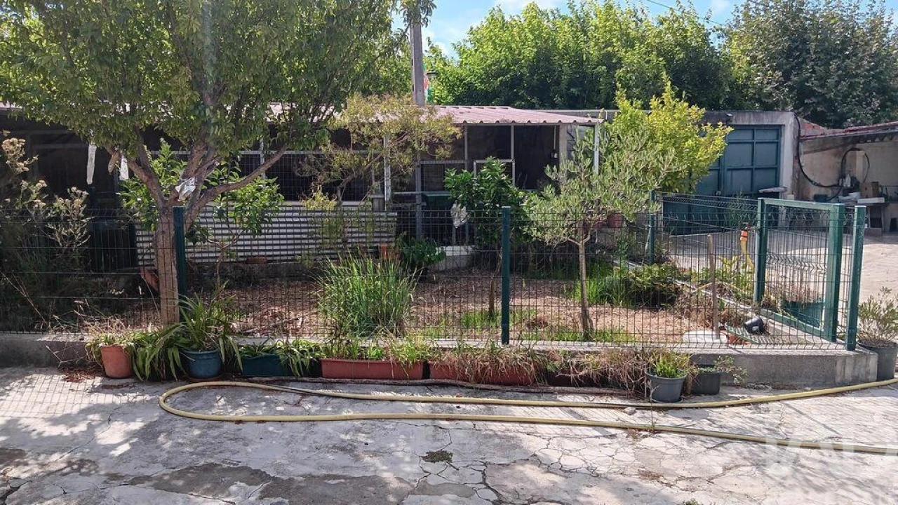 Moradia T4 para Venda em Ferreira-A-Nova Foto 23