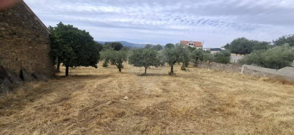 Terreno para Venda em Castelo Branco