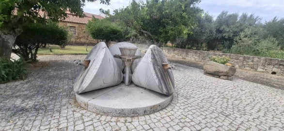Terreno para Venda em Castelo Branco