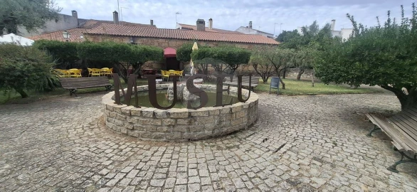 Terreno para Venda em Castelo Branco