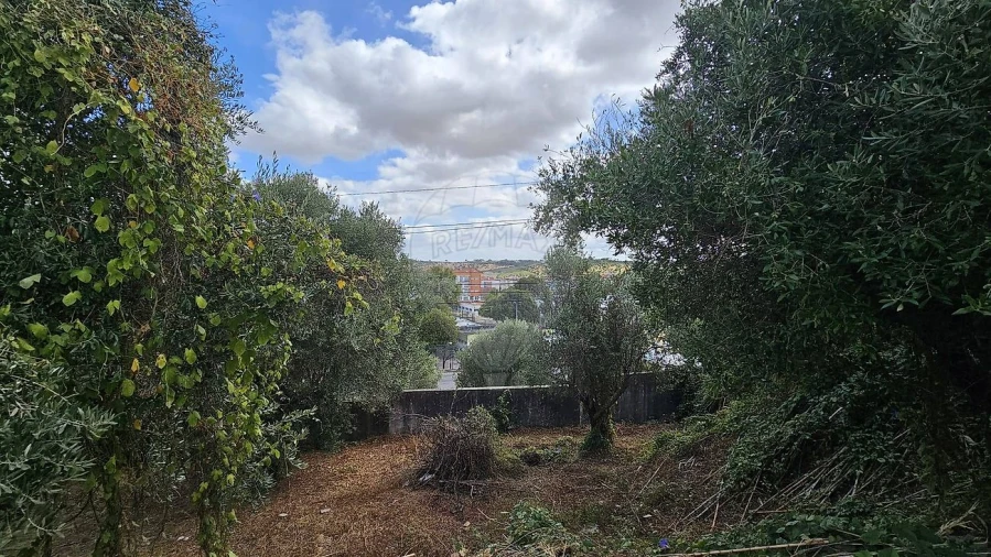 Moradia T4 para Venda em Alcanena e Vila Moreira Foto 40