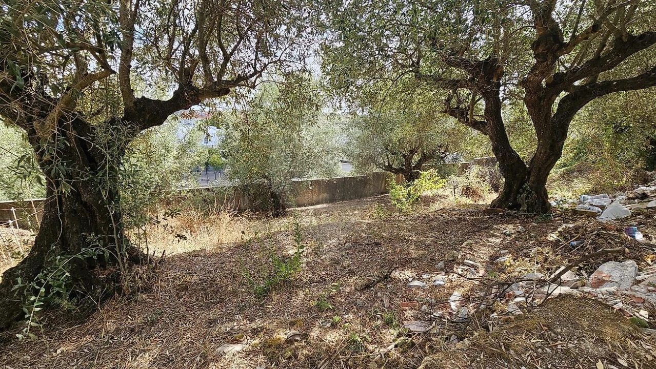 Moradia T4 para Venda em Alcanena e Vila Moreira Foto 41