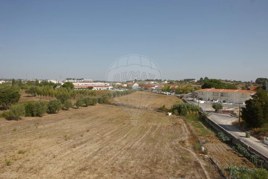 Terreno para Venda em Cartaxo e Vale da Pinta Foto 2