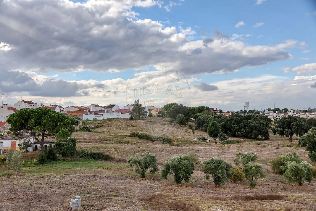 Terreno para Venda em Cartaxo e Vale da Pinta Foto 1
